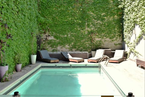 Garden, Garden view, Pool view, Swimming pool