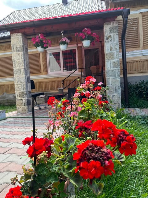Property building, Spring, Day, Garden, Garden view