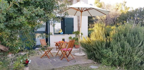 Patio, Garden, Garden view