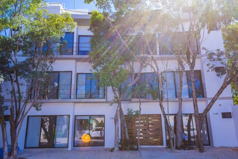 Property building, Facade/entrance
