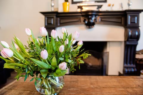 Bed & Breakfast Ohé en Laak Bed and Breakfast in Limburg (province)