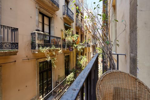 Neighbourhood, Balcony/Terrace