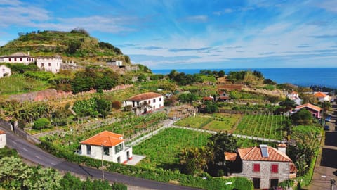 Property building, Bird's eye view