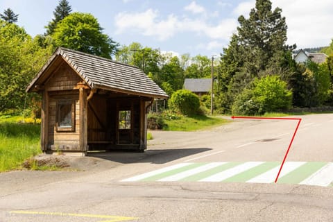 LE GITE DE BRI House in Orbey