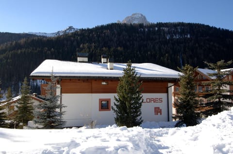 Facade/entrance, Winter