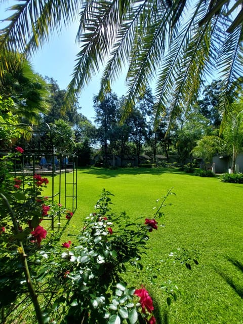 Spring, Day, Garden, Garden view