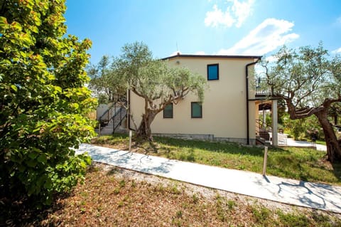 Property building, Garden, Garden view