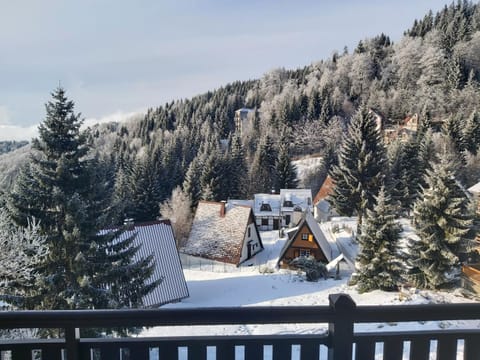 Villa Polaris Apartment in Serbia