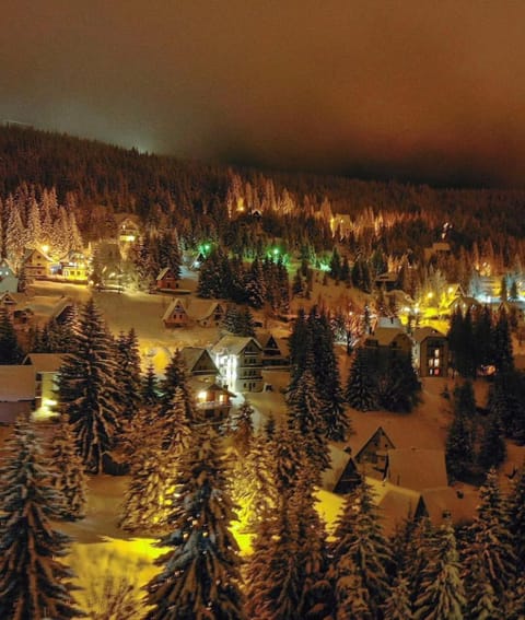 Villa Polaris Apartment in Serbia