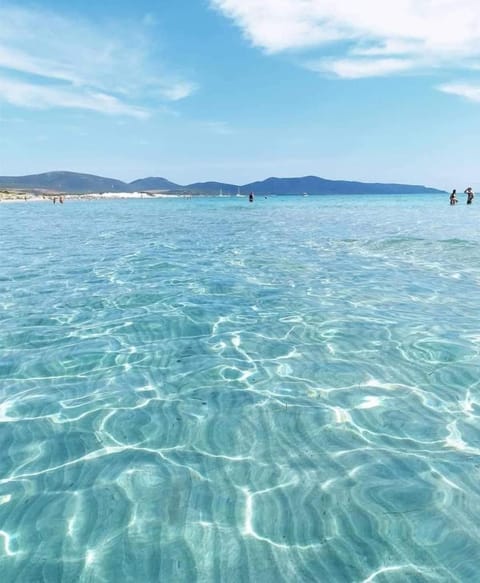 Casa Sonia Apartment in Sardinia