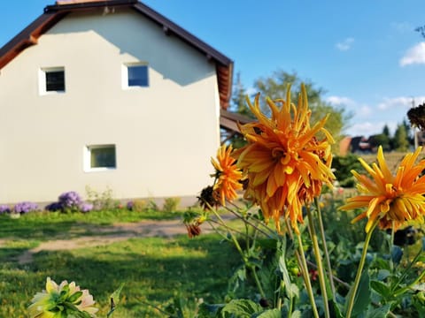 Property building, Garden, Garden, Garden view