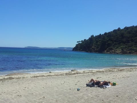 Duplex Vue sur Mer et Pieds dans l'eau Plage de Pramousquier Apartment in Rayol-Canadel-sur-Mer