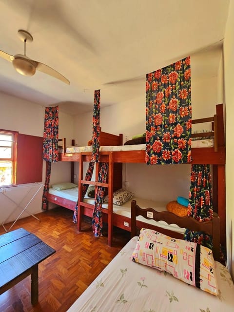 Bed, Photo of the whole room, Bedroom, bunk bed