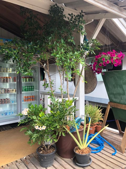 Fisherman Guesthouse Bed and Breakfast in Krabi Changwat