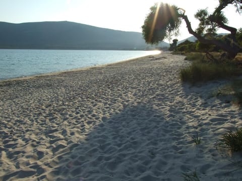 agriturismo corallo Farm Stay in Sardinia