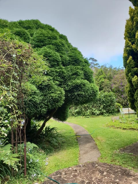 Natural landscape