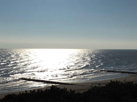 Summer, Lobby or reception