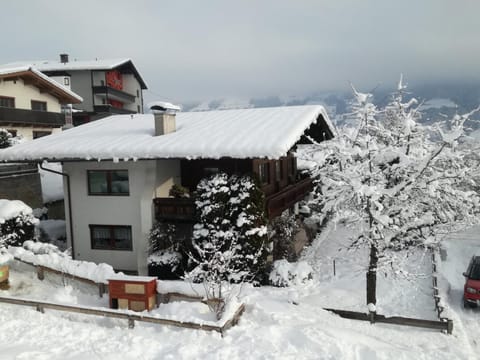 Bird's eye view, Winter, Garden