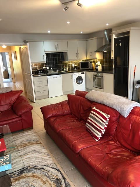 Living room, kitchen