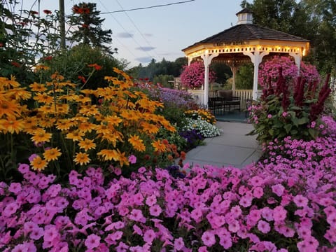 Bay Top Motel Motel in Laconia
