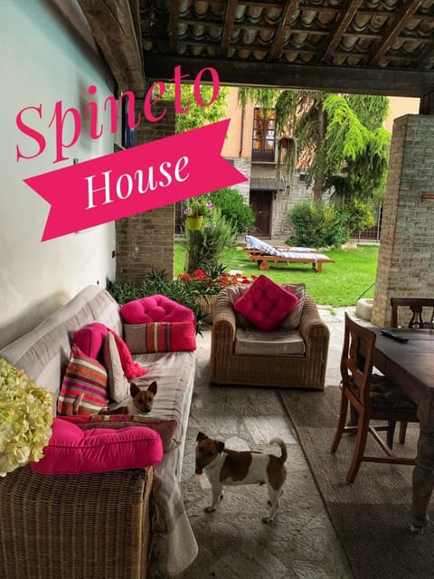 Patio, Garden, Internal: Not applicable to any particular room
