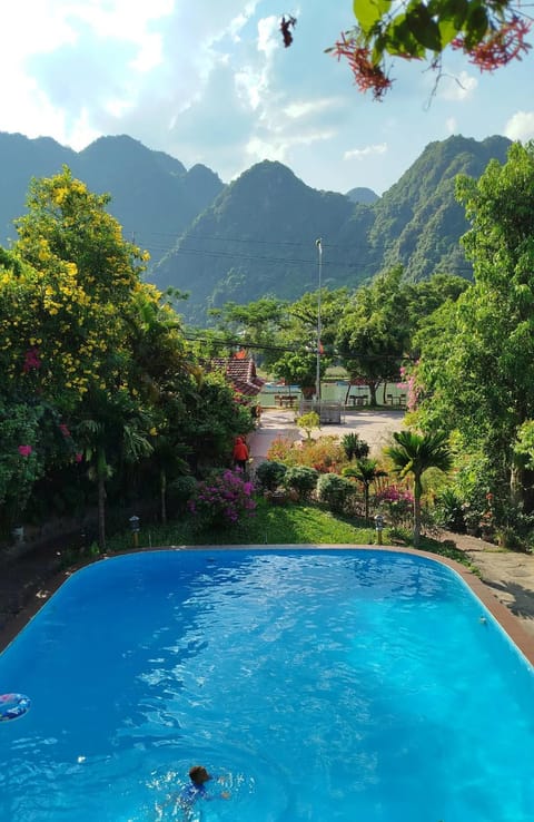 Natural landscape, Garden, Garden view, Swimming pool