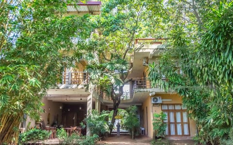 Property building, Garden, Garden view