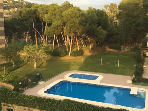 Pool view, Swimming pool