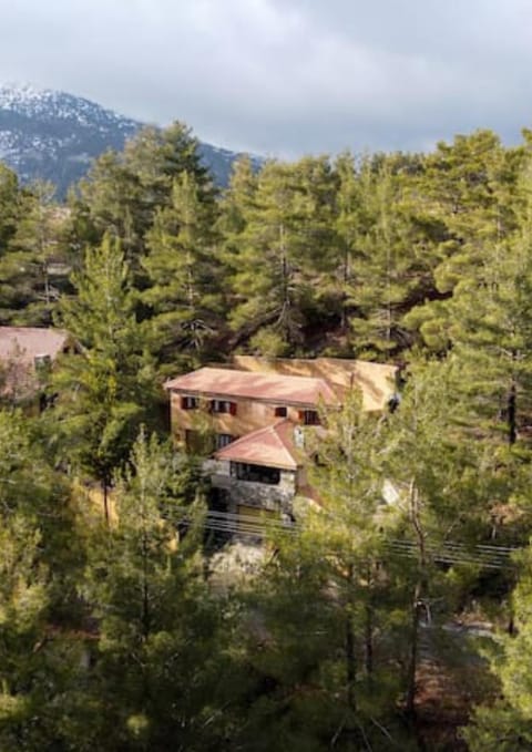 Property building, Natural landscape, Winter, Mountain view