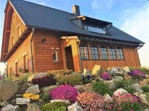 Property building, Spring, Day, Garden