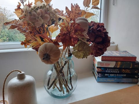 Seating area, Autumn, Location, heating, wedding