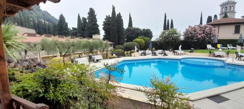 Garden, Garden view, Pool view