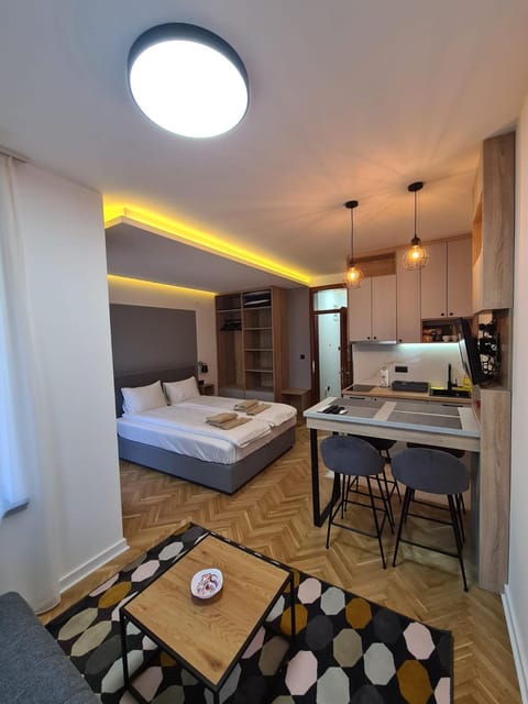 Bed, Kitchen or kitchenette, Photo of the whole room, Dining area, Bedroom, stove