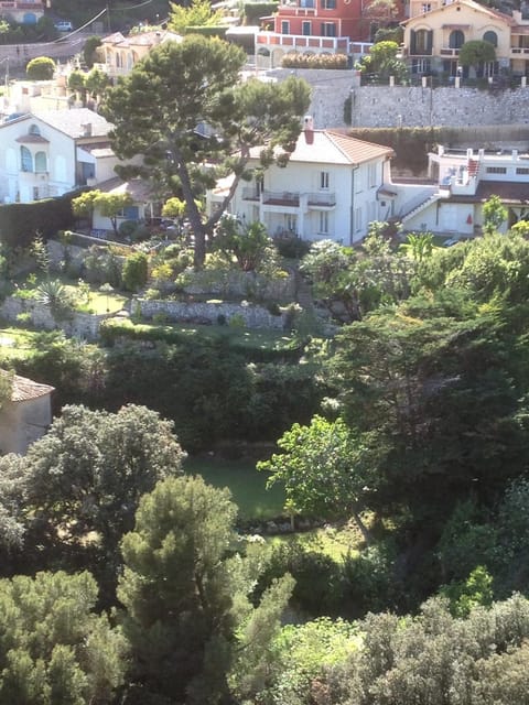 Property building, Bird's eye view