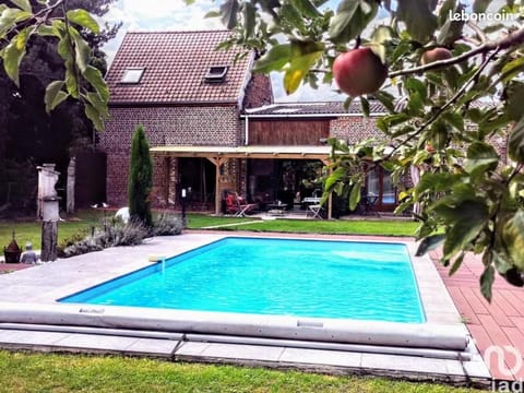 Garden, Swimming pool