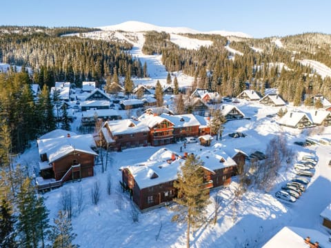 Property building, Day, Natural landscape, Bird's eye view, Winter, Skiing, Mountain view