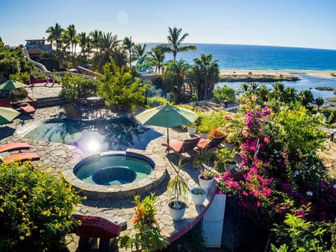 Garden, Swimming pool