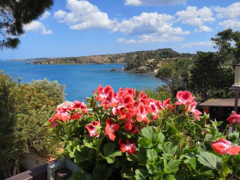 Natural landscape, Sea view