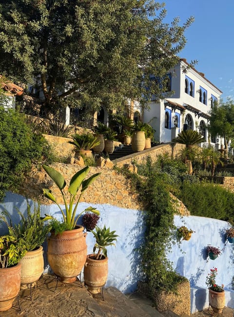 Property building, Garden, Garden view