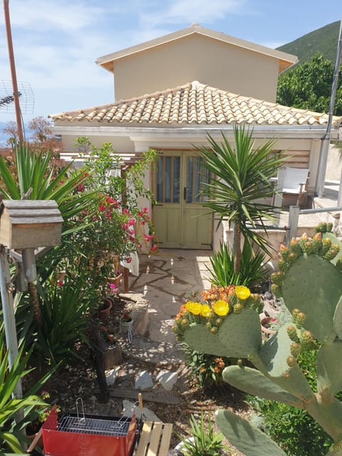 Property building, Patio, Garden