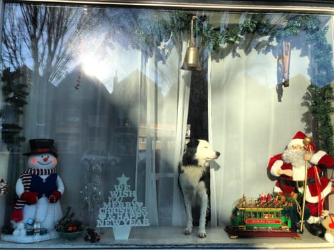 Westerschelde B&B Bed and Breakfast in Vlissingen