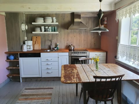 Kitchen or kitchenette, Photo of the whole room, Dining area, dishwasher