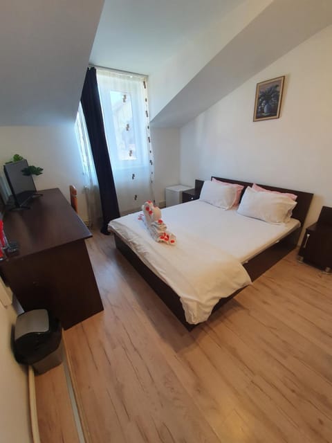 Casa Lions Bed and Breakfast in Timisoara