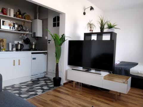 Apartament Mazowiecka 125 Apartment in Krakow