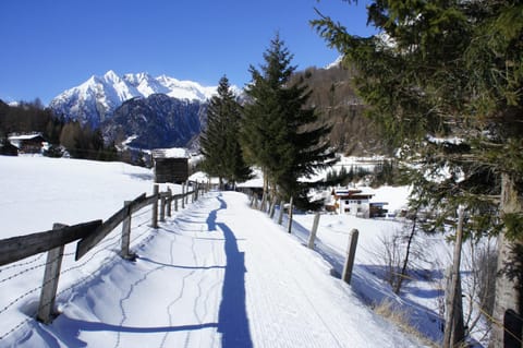 Winter, Mountain view