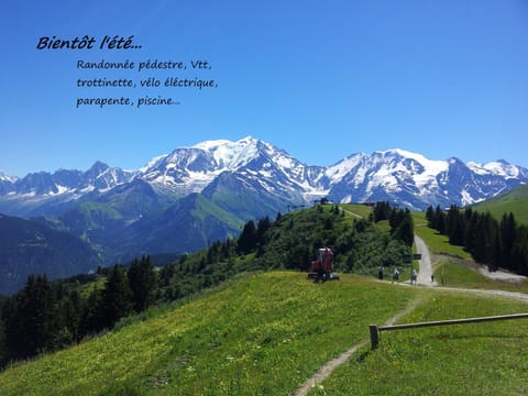 Natural landscape