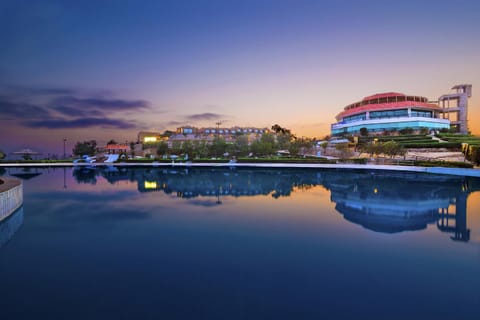 Pool view, Swimming pool, Sunrise
