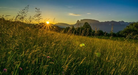 Appartments Neuhof Farm Stay in Trentino-South Tyrol