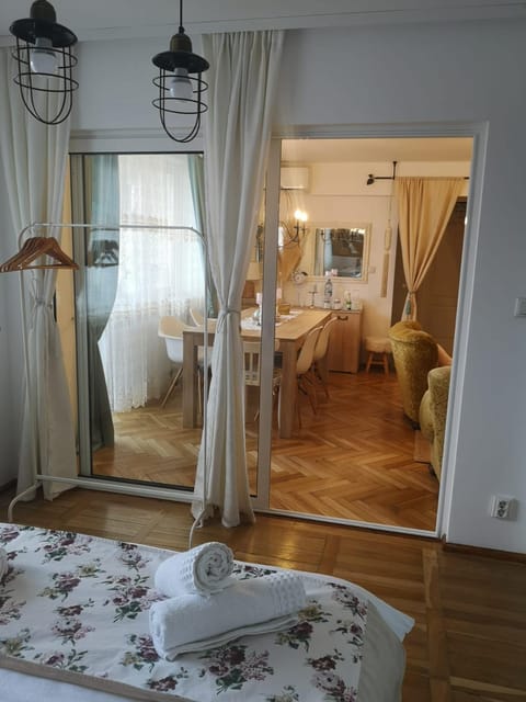 Penthouse Luxury Apartment in Timiș County