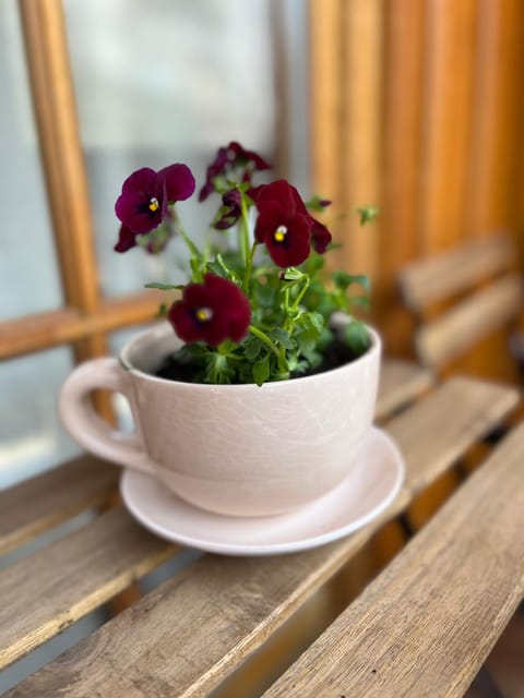 Appartement Emilia Apartment in Hallstatt